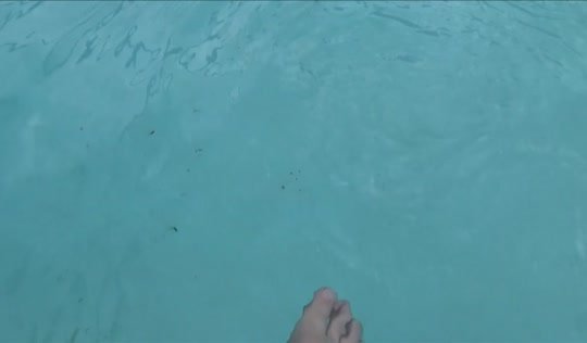 Кобыла выпила вина в бассейне и забралась в трусы к другу